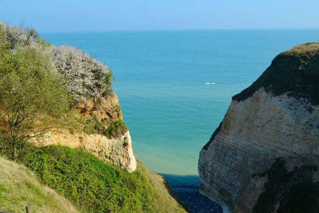 Superbe Propriete Bord De Mer - Le Clos Ricarda Sainte-Marguerite  المظهر الخارجي الصورة